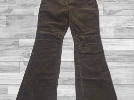 Pants Other By Talbots In Brown, Size: 10 Cheap