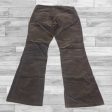 Pants Other By Talbots In Brown, Size: 10 Cheap