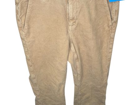 Pants Corduroy By American Eagle In Brown, Size: 8 Online Sale