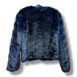 Jacket Faux Fur & Sherpa By Clothes Mentor In Blue, Size: S For Sale